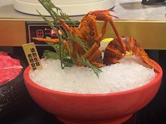 -一绪に寿喜烧(荟聚店)