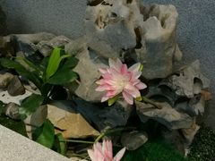 -丽池宫韩式汗蒸会馆(华灯坊店)