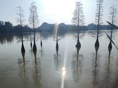 -星湖旅游景区七星岩