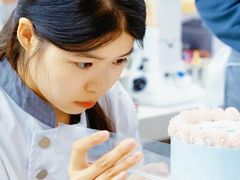 -刘清西点蛋糕烘焙培训学校