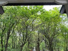 -虞山风景区