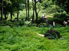 -成都市活水公园