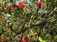 -敬亭山风景名胜区