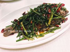 葱烤河鲫鱼-和记小菜(大宁店)
