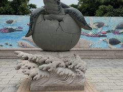 -广东惠东海龟国家级自然保护区