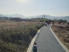 -四明湖