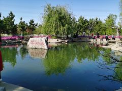 -羊亭河湿地公园