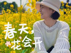 -九龙湖公园
