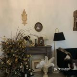 一口气吃了两个还想吃！舍不得买第三个哈哈哈哈哈