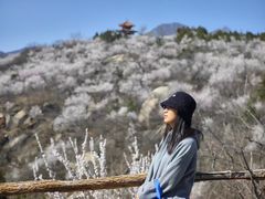 -白水寺森林公园