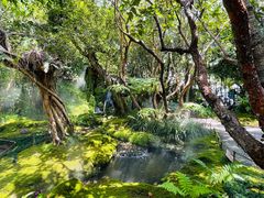 -Chom Cafe and Restaurant