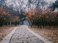 景点-淮海战役纪念馆