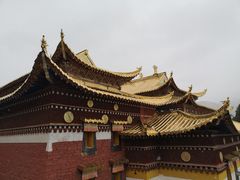 -四川郎木寺