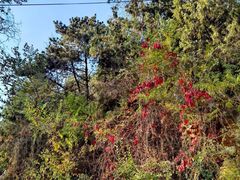 -兵魂·室内真人CS枪战俱乐部·团建·军事轰趴馆