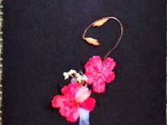 -森野花艺培训·企业团建活动沙龙