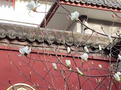 -西安市广仁寺