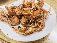 -杨梅坑