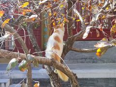 -李叔同故居纪念馆