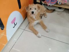 -子乐宠物医院