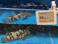 -T11生鲜超市(朝阳公园店)