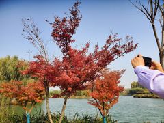-淇河国家湿地公园