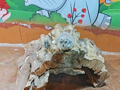 -秦皇岛新澳海底世界