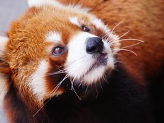 -泉州海丝野生动物世界