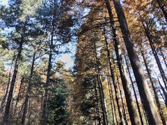 -罗田薄刀峰风景区