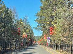 -北极村旅游风景区