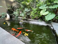 -漫笙舍Manse·咖啡·民宿