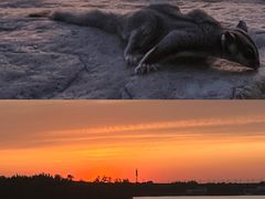 -丁香湖公园