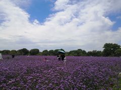 -上海杨姆庄园