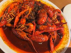 -京B·东篱精酿啤酒音乐餐厅