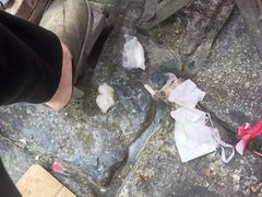 -胡仁根胡记炸炸炸