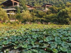 -桃花岭景区