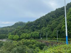 -火炉山森林公园