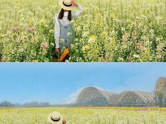 -中国天府农业博览园