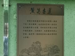 -黄葛古道