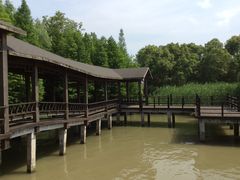 -溱湖国家湿地公园