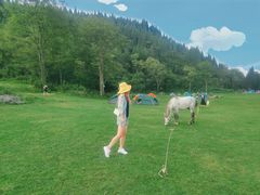 -武陵山森林公园