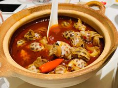 辣酒煮花螺-行家海鲜火锅酒家(静安寺店)