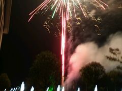 -明珠湖天鹅苑·农家菜馆