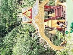 -西双版纳原始森林公园