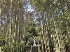 -冶父山国家森林公园