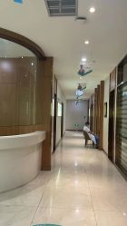 -新生植发·植养护一体