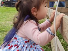 -承启堂中医馆·推拿·针灸(成华馆)