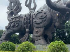 -四海公园(南山区)