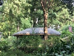 -成都市活水公园