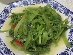 南瓜藤-呼吸森林·生态农庄农家乐私房菜