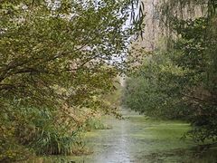 -溱湖国家湿地公园